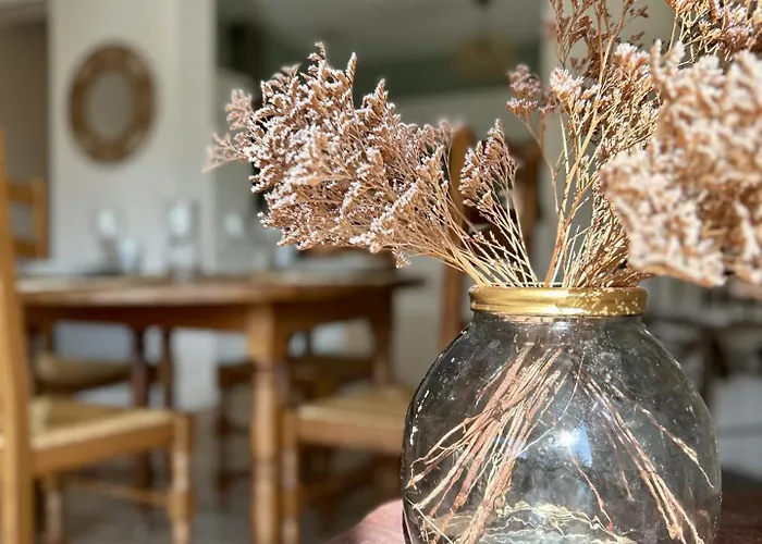 Villa La Des Lilas *